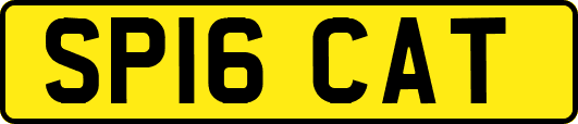 SP16CAT