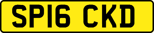SP16CKD