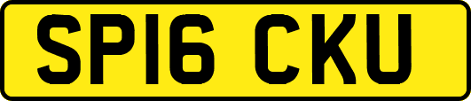 SP16CKU