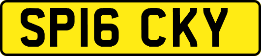 SP16CKY