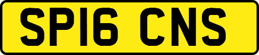 SP16CNS