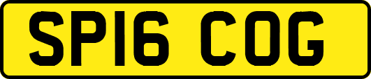 SP16COG