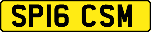SP16CSM