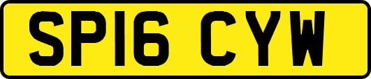 SP16CYW