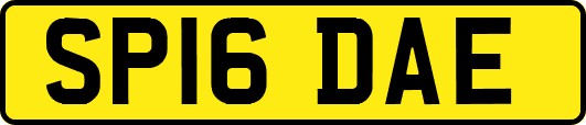 SP16DAE