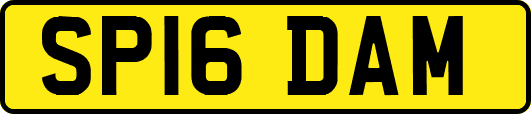SP16DAM