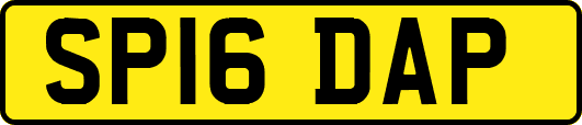 SP16DAP