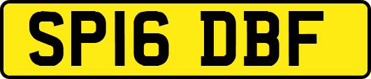 SP16DBF