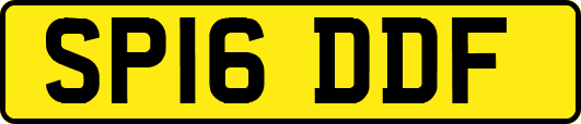 SP16DDF