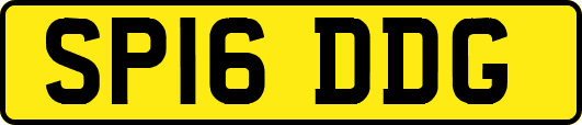 SP16DDG