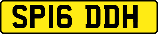 SP16DDH