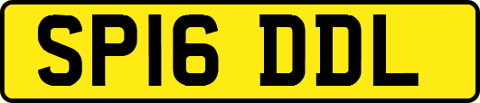 SP16DDL