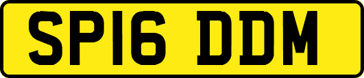 SP16DDM