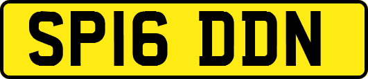 SP16DDN