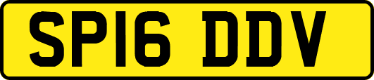 SP16DDV