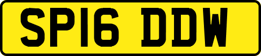 SP16DDW