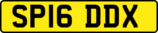 SP16DDX
