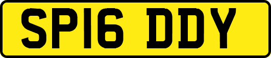 SP16DDY