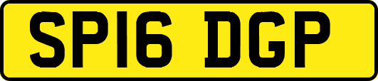 SP16DGP