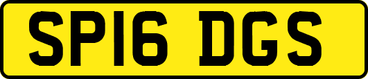 SP16DGS