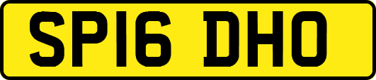 SP16DHO