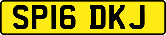 SP16DKJ