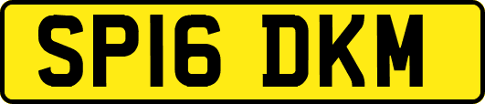SP16DKM