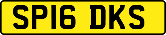 SP16DKS