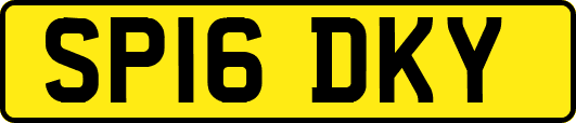 SP16DKY