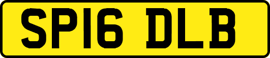 SP16DLB