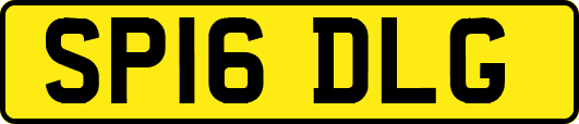 SP16DLG