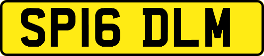 SP16DLM