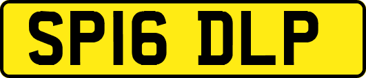 SP16DLP