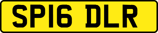 SP16DLR