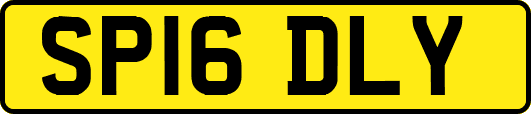 SP16DLY
