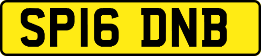 SP16DNB