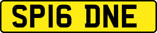 SP16DNE