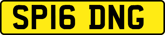 SP16DNG