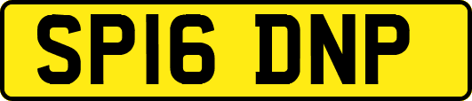 SP16DNP