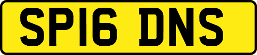 SP16DNS