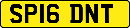 SP16DNT