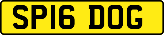 SP16DOG