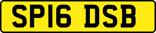 SP16DSB