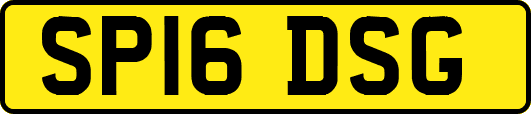 SP16DSG