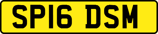 SP16DSM