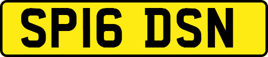 SP16DSN