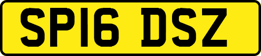 SP16DSZ