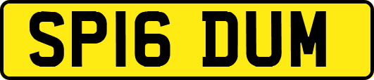SP16DUM