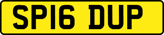 SP16DUP