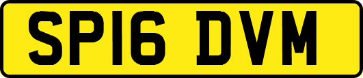 SP16DVM